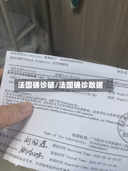 法国确诊破/法国确诊数据-第2张图片