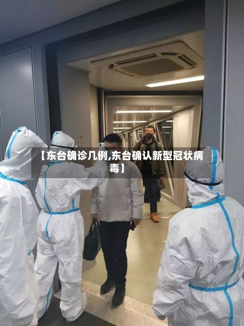【东台确诊几例,东台确认新型冠状病毒】-第3张图片